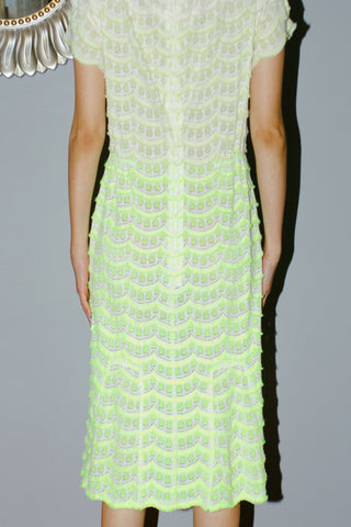 Nanette Lepore Laced Scalloped Neon Ombré Dress